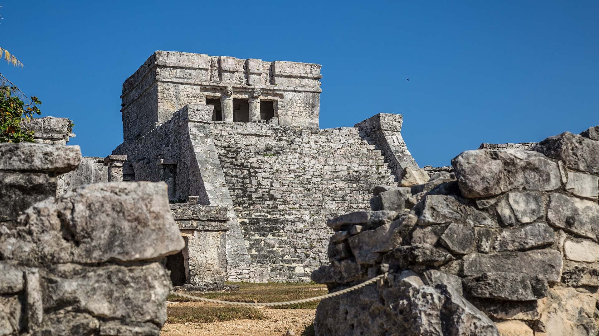 Tulum & Dolphin Interaction Adventures UNICO 20° 87° Riviera Maya