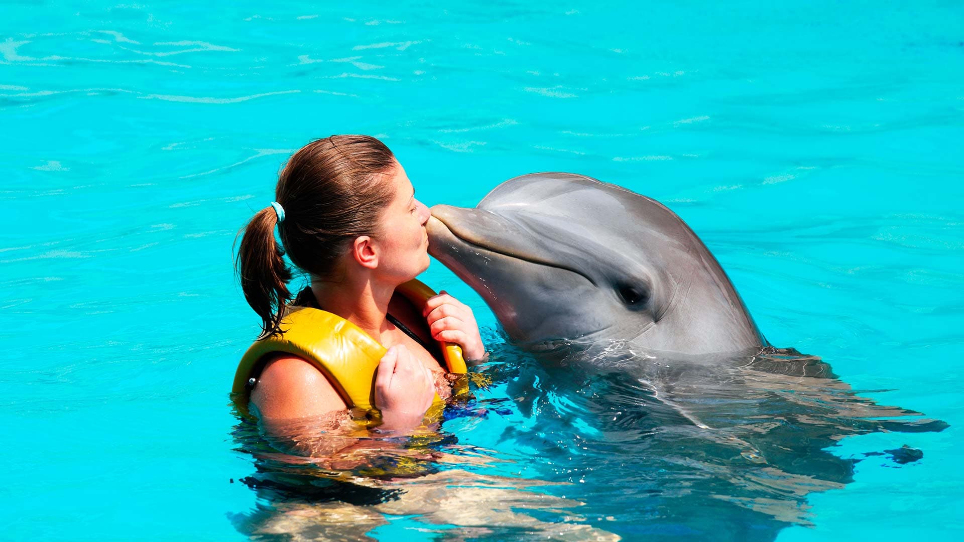 Dolphin Interaction Adventures UNICO 20° 87° Riviera Maya