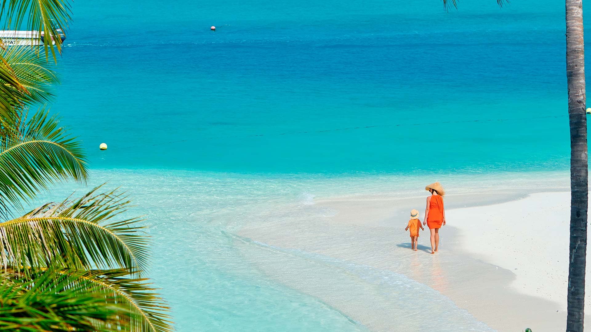 Isla Mujeres Adventures UNICO 20° 87° Riviera Maya