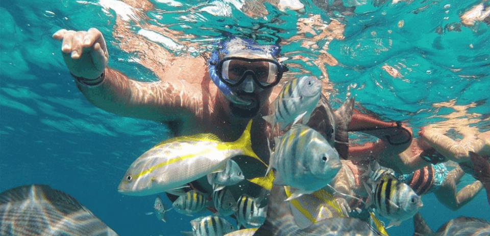 Snorkel Express