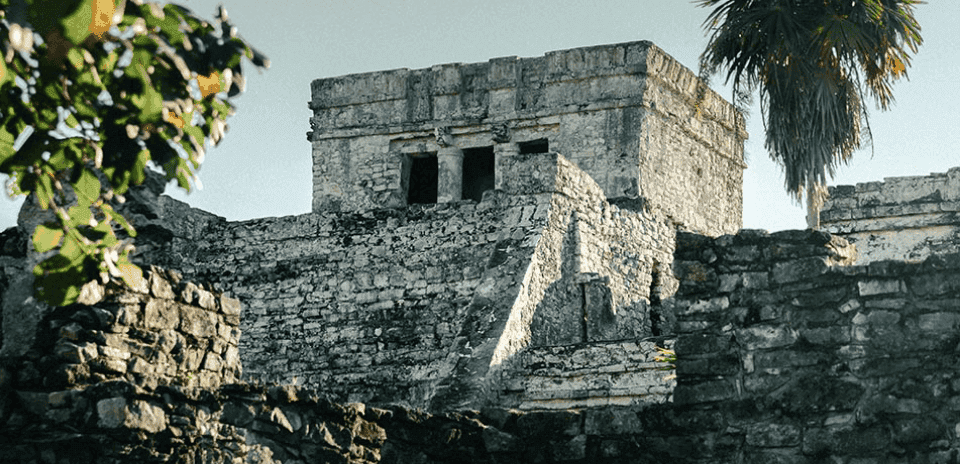 Tulum y Nado con Delfines