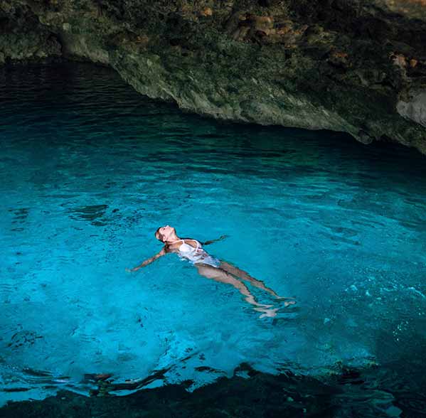 Cenote and Dolphin Interaction
